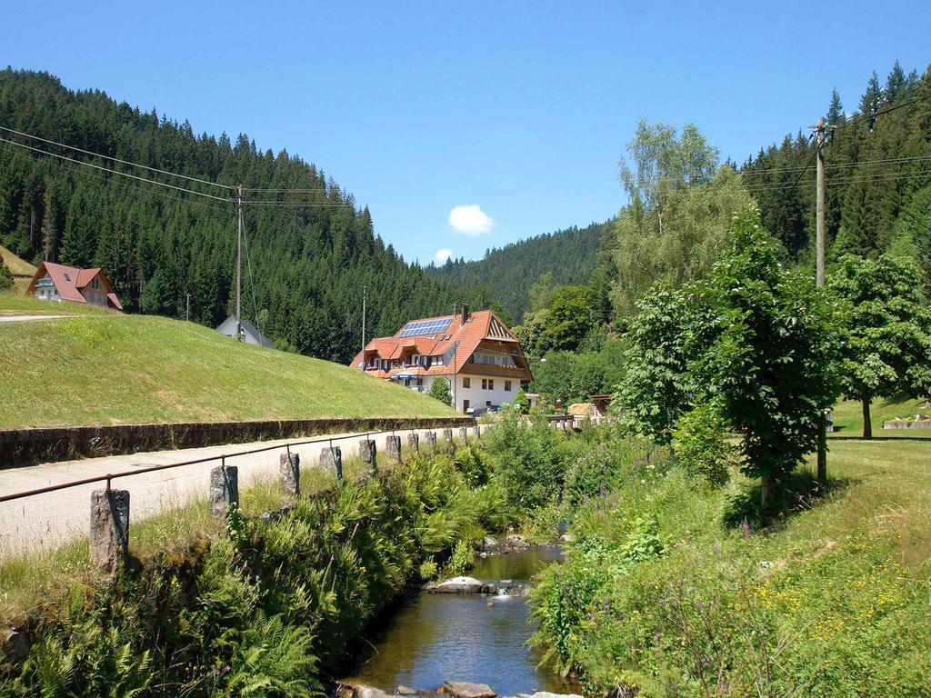 Gastehaus Herrmann Bad Rippoldsau-Schapbach ภายนอก รูปภาพ